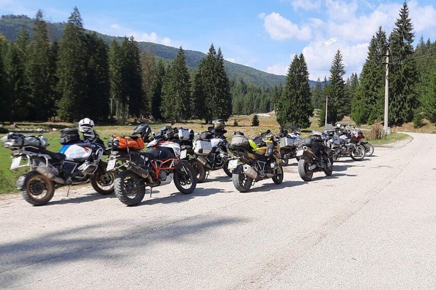 A row of motorcycles parked on a road with a forest and mountains in the background. 4