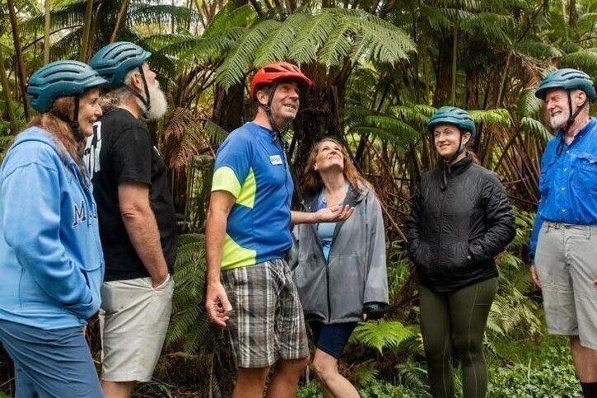 Guide talking about Flora inside Volcanoes National Park 5