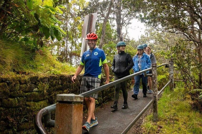 A group of people walking on a path surrounded by greenery. 3