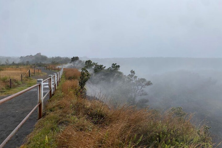 A foggy coastal path with a metal railing, grassy areas, and trees. 4