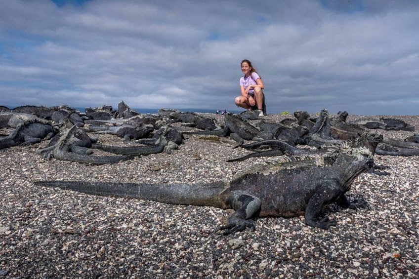 Een grote zeekameleon op een rotsachtige kust, met een persoon op de achtergrond. 1