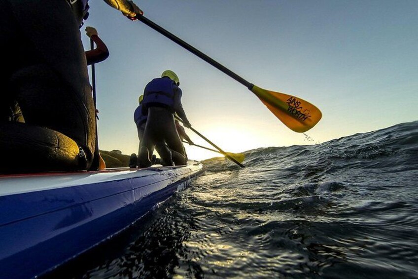 Giant Stand Up Paddle Boarding Experience in Newquay 4
