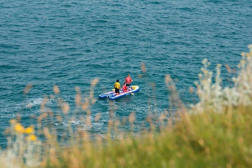 Giant Stand Up Paddle Boarding Experience in Newquay 3