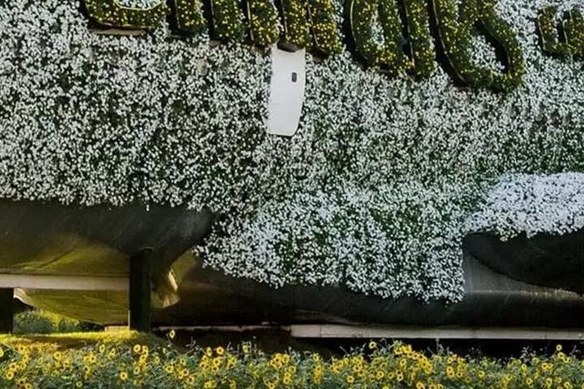 Dubai Miracle Garden – World’s Largest Floral Wonderland Paradise 3