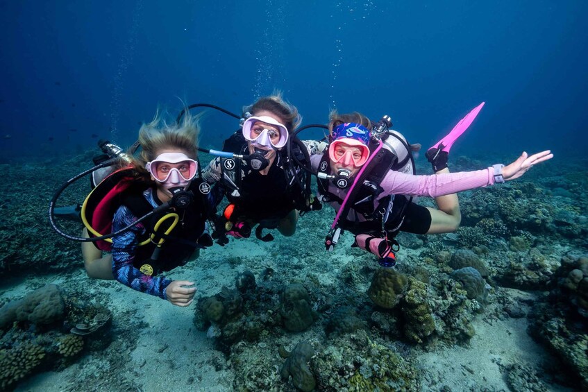 Three scuba divers underwater exploring a coral reef. 1