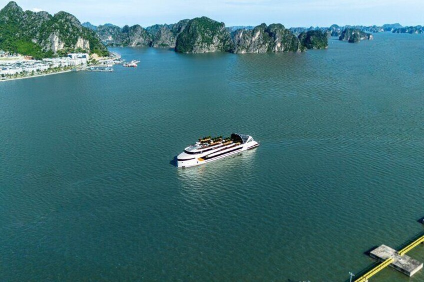 Dolphin Top 5-Star Halong Bay Day Cruise – Relax, Swim & Scenic Tour 5