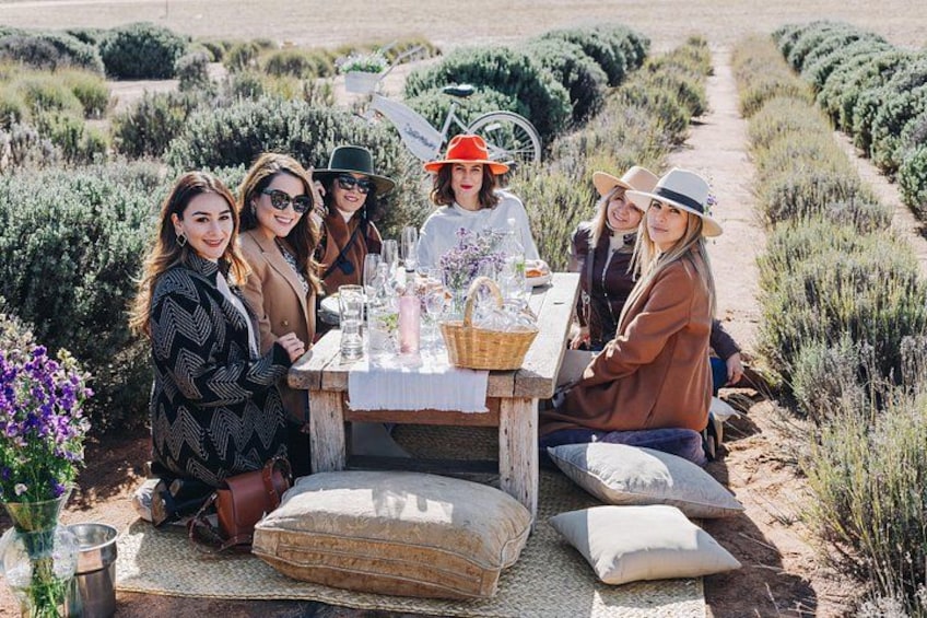 Un grupo de personas disfrutando de un picnic en un viñedo, con una mesa dispuesta con comida y bebidas. 2