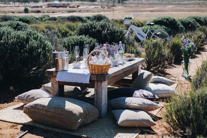 Private Picnic and Tasting in a Lavender Field 3