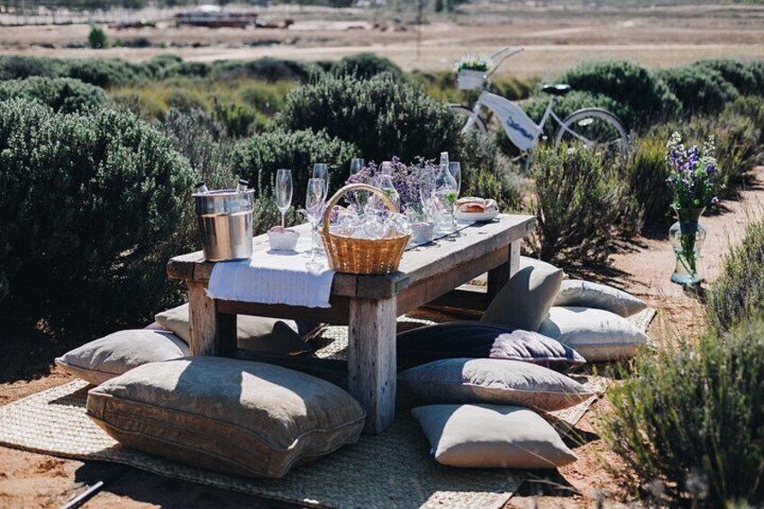 Private Picnic and Tasting in a Lavender Field 4