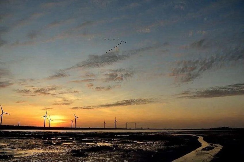 Un atardecer sobre un parque eólico con un camino de tierra. 4