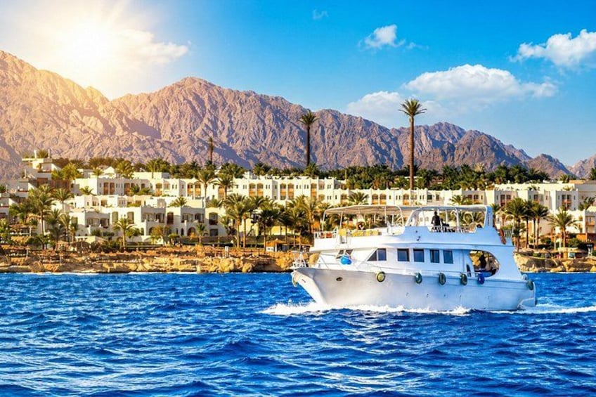 Explore Sharm El Sheikh's South Sinai Depths 4