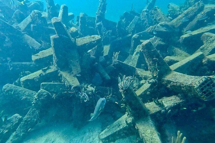 Fort Lauderdale: Small-Group Snorkeling Tour with Refreshments 5