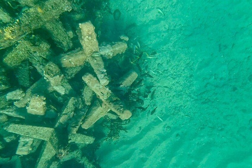 Fort Lauderdale: Small-Group Snorkeling Tour with Refreshments 3