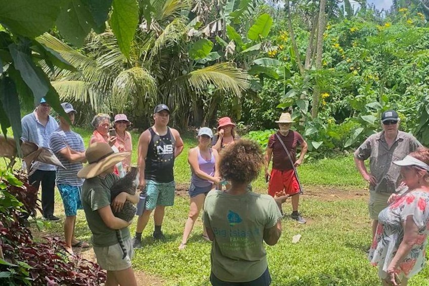 Un grupo de personas en un entorno tropical al aire libre, posiblemente una reserva natural o parque, con abundante vegetación y palmeras al fondo. 5