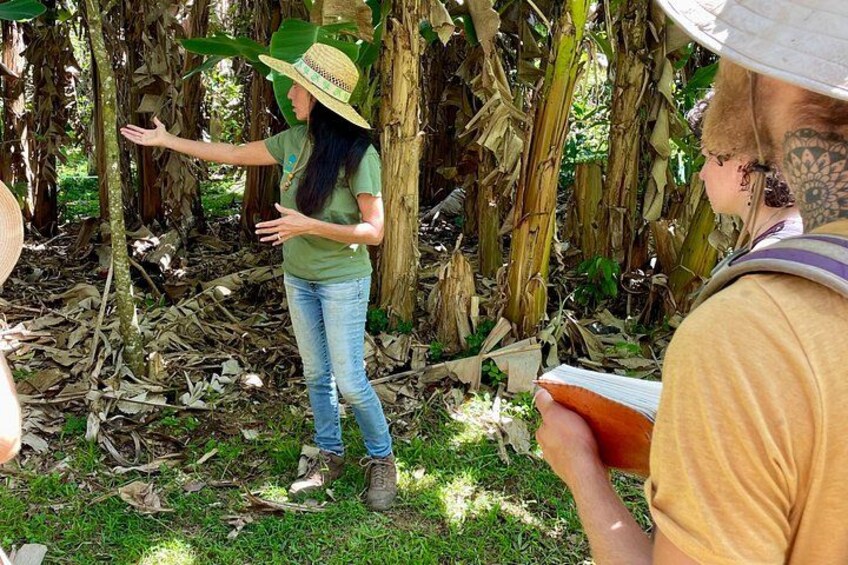 Una persona con sombrero gesticulando en un área boscosa con árboles y hojas secas en el suelo. 2