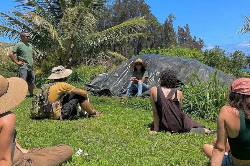 Un grupo de personas sentadas sobre la hierba cerca de una gran formación rocosa en un entorno tropical. 4