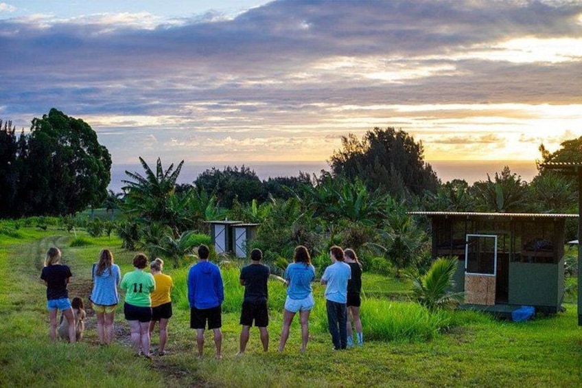 Un grupo de personas de pie en un campo cubierto de hierba con una construcción pequeña al fondo. 1