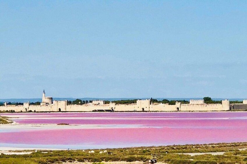 Guided tours: discover Occitania and its surroundings. 3