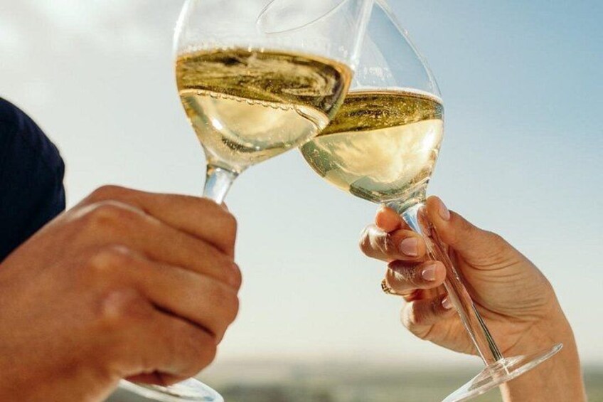"Enjoy a friendly aperitif with wine, beer or soft included during your boat ride Camargue on the Rhone in Sete." 4