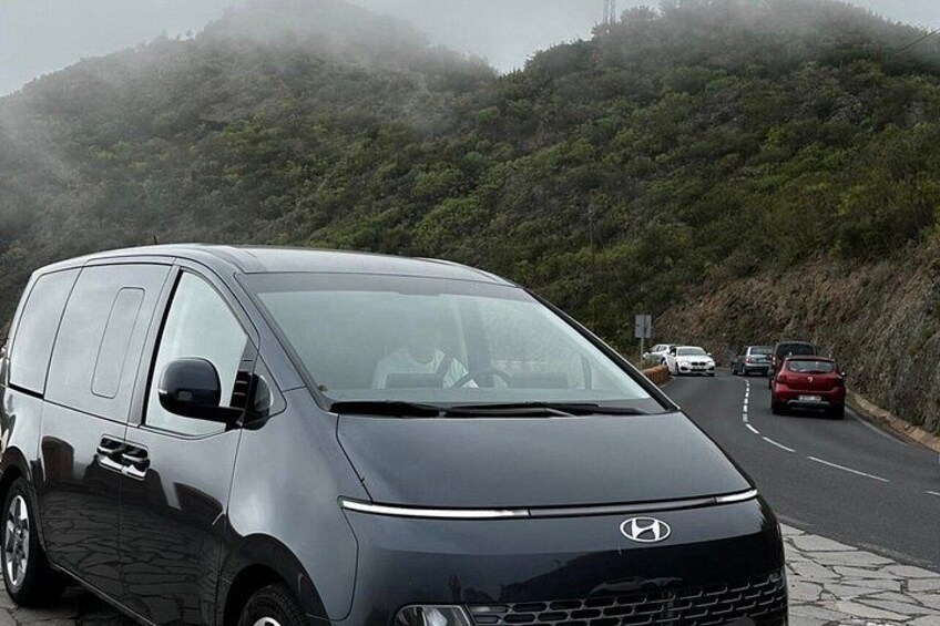Grand VIP Tour Tenerife with private Guide by Lux car 4