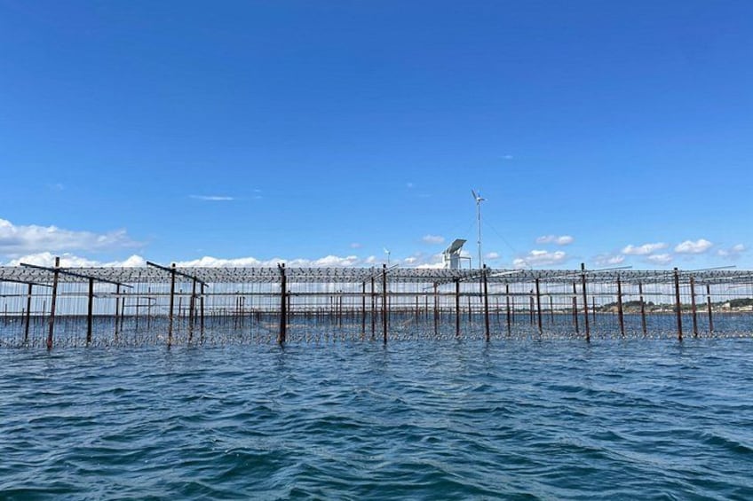 A large body of water with a fishing net structure extending into it. 2