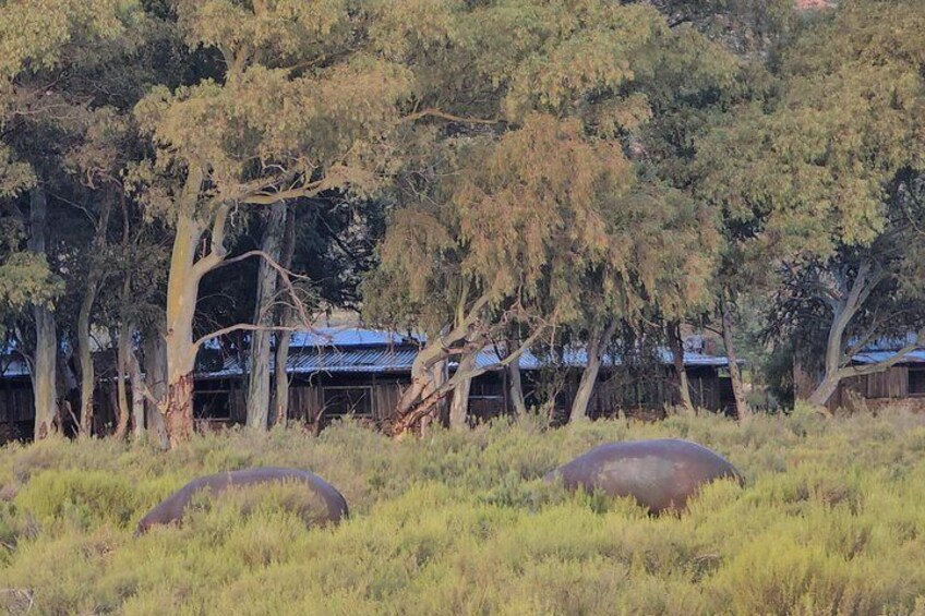 Aquil big five Sunset safari long march to freedom museum 5