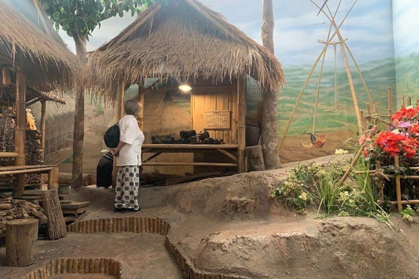 Luxury fun trip to Golden Triangle take boat and entrance to Laos 2