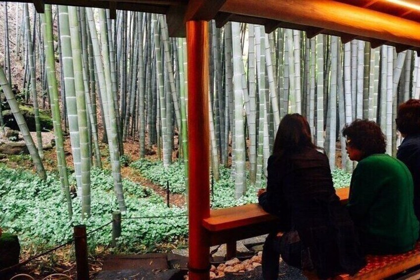 Kamakura & Yokohama Private and Custom Tour with English Driver 4