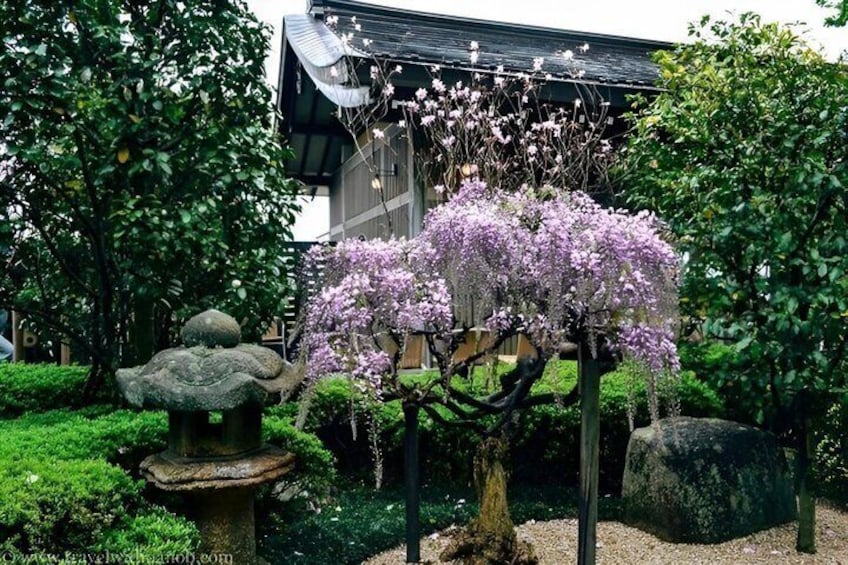 Kamakura & Yokohama Private and Custom Tour with English Driver 5