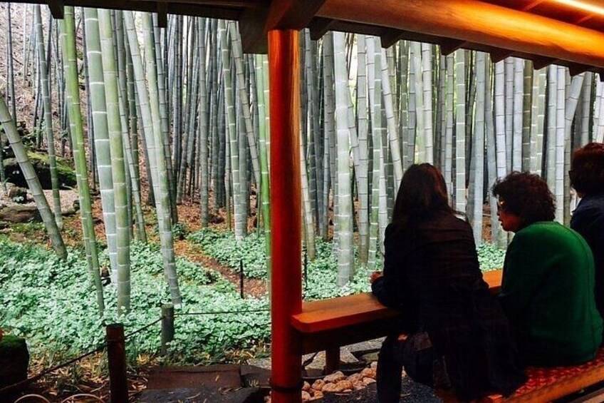 Kamakura & Yokohama Private and Custom Tour with English Driver 4