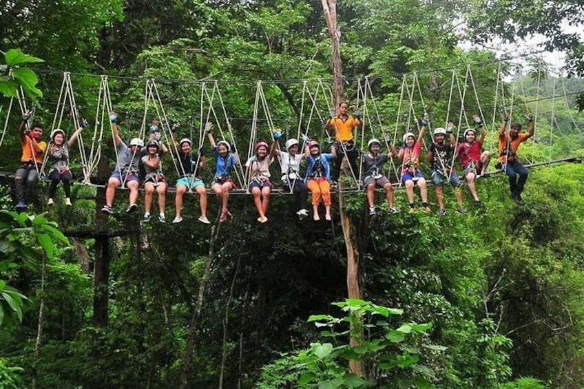 People on a suspended rope bridge in a forest. 1