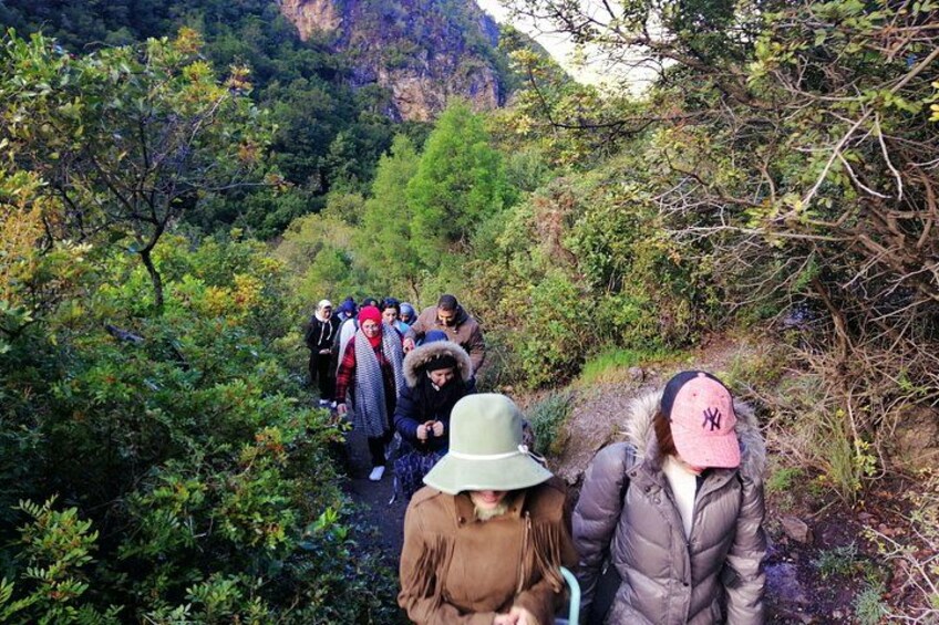 Eine Gruppe von Wanderern auf einem Waldpfad, umgeben von viel Grün und felsigem Gelände. 3