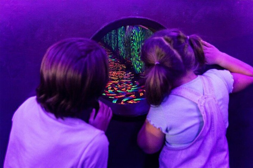 Wink World: Immersive Neon Adventure at AREA15 Las Vegas 4