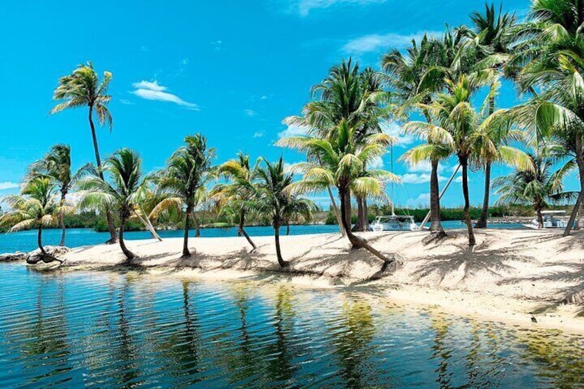 A beach with palm trees and clear blue water. 1