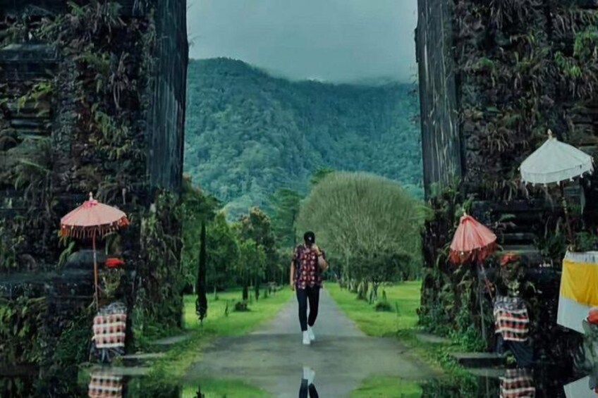 Northern Bali Full Day Tour Waterfalls Temples and Views 4