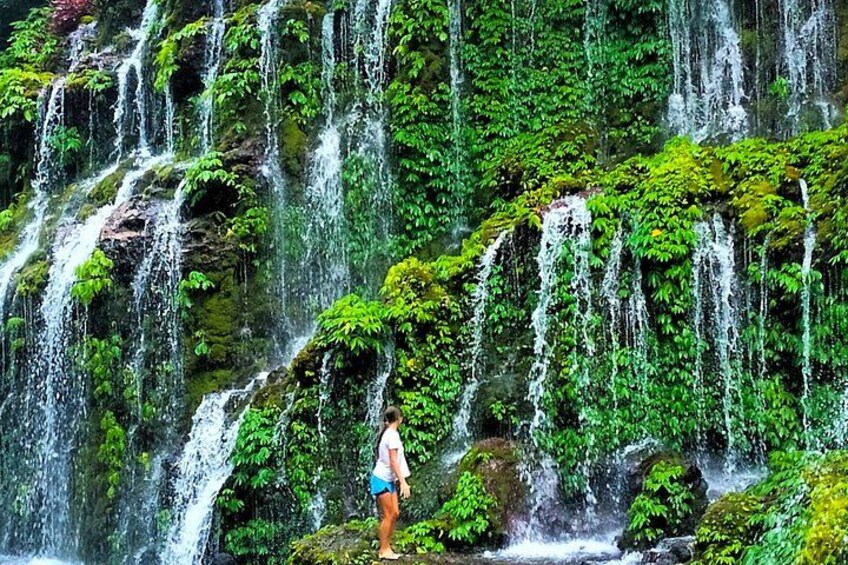 Northern Bali Full Day Tour Waterfalls Temples and Views 2