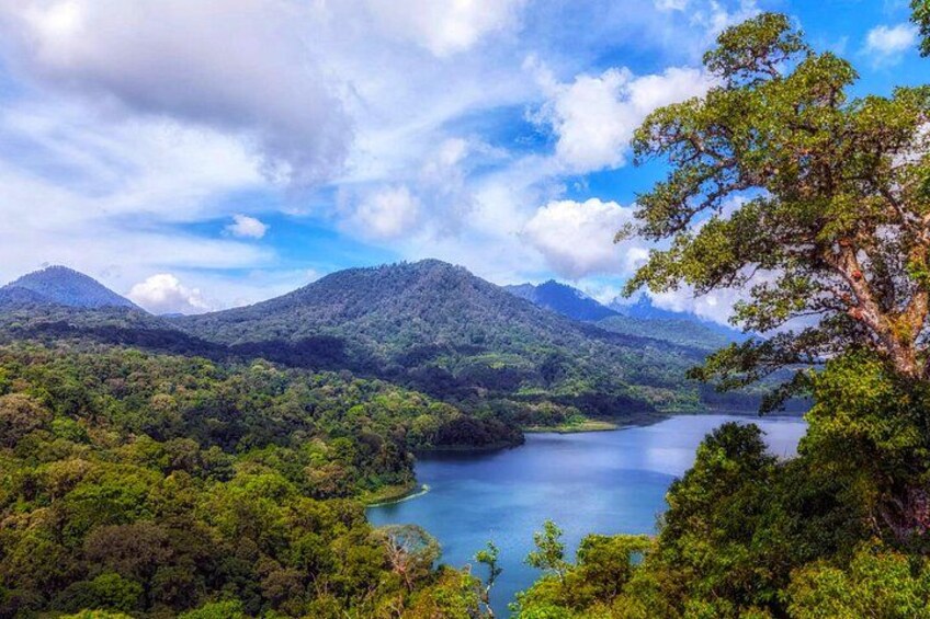 Northern Bali Full Day Tour Waterfalls Temples and Views 5