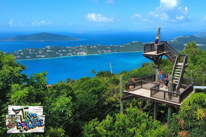 Tree Limin' Extreme Zipline 1