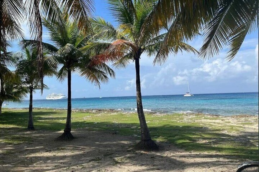 Une plage bordée de palmiers, avec un bateau visible au loin. 4