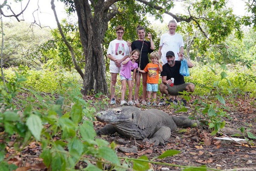 A group of people with an elephant in a forested area. 2