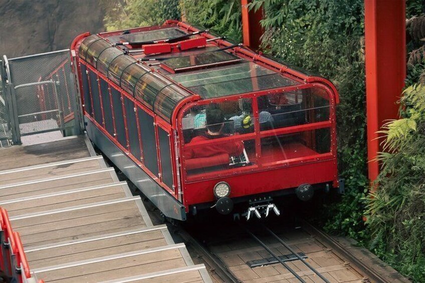 Blue Mountains Private Tour from Sydney: Scenic World & Koalas 2