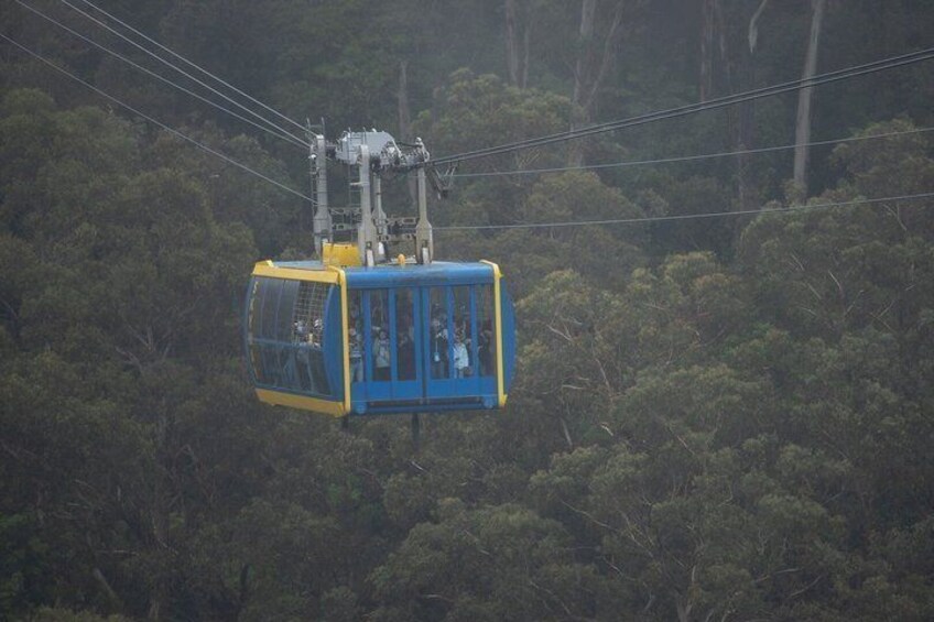 Blue Mountains and Wild Life Private Full-Day Tour from Sydney 2