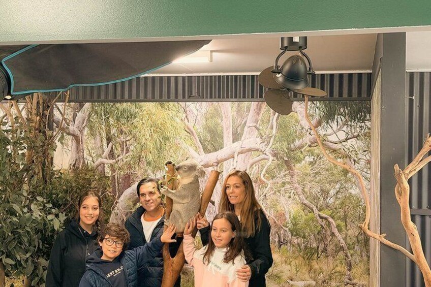Blue Mountains Private Tour from Sydney: Scenic World & Koalas 1