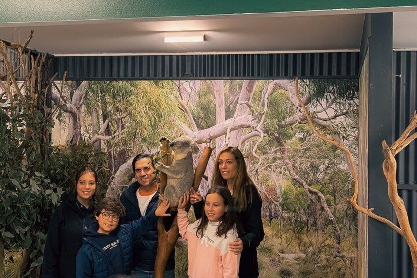 Blue Mountains Private Tour from Sydney: Scenic World & Koalas 1