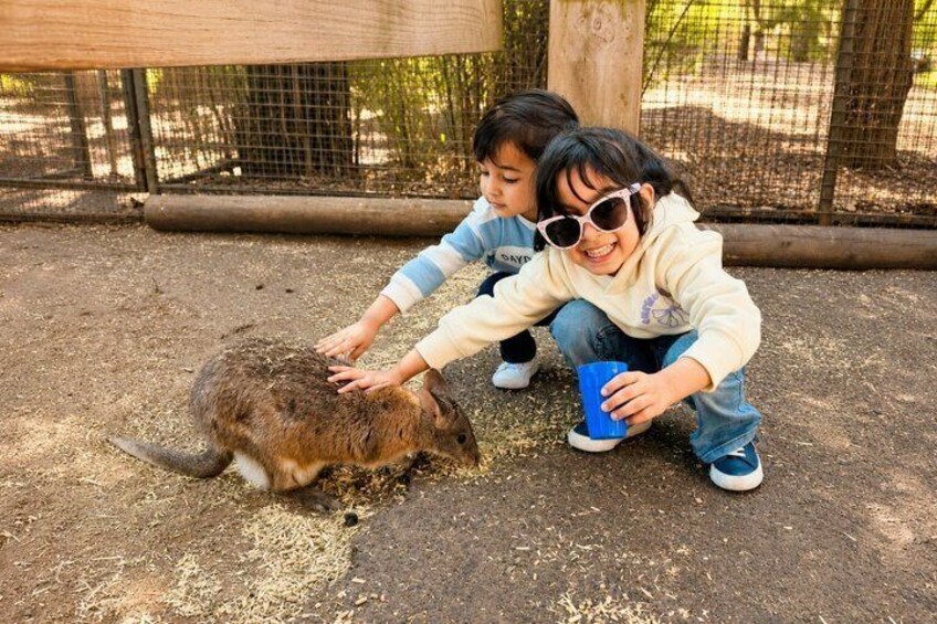 Blue Mountains Private Tour from Sydney: Scenic World & Koalas 4