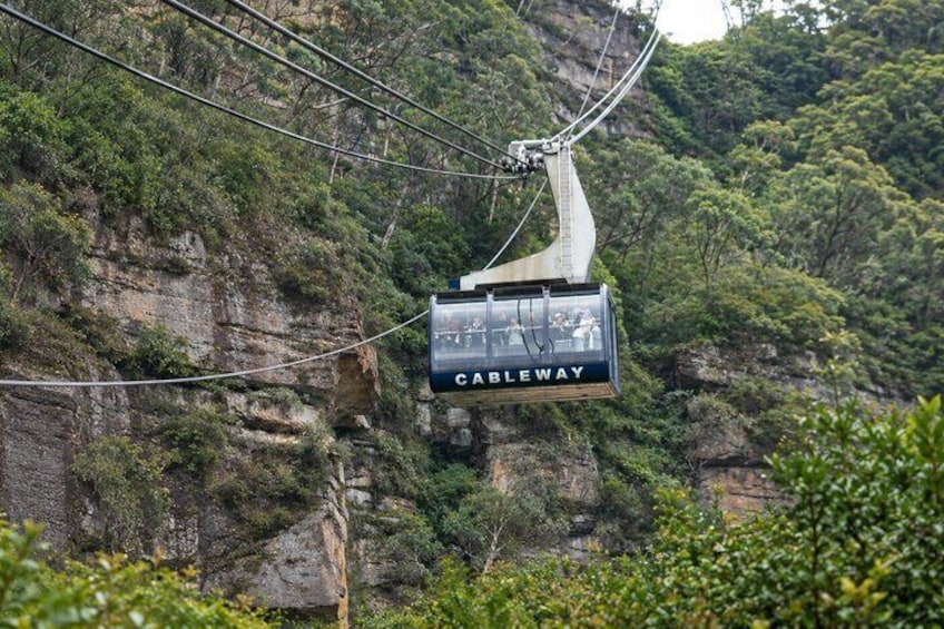 Blue Mountains and Wild Life Private Full-Day Tour from Sydney 5