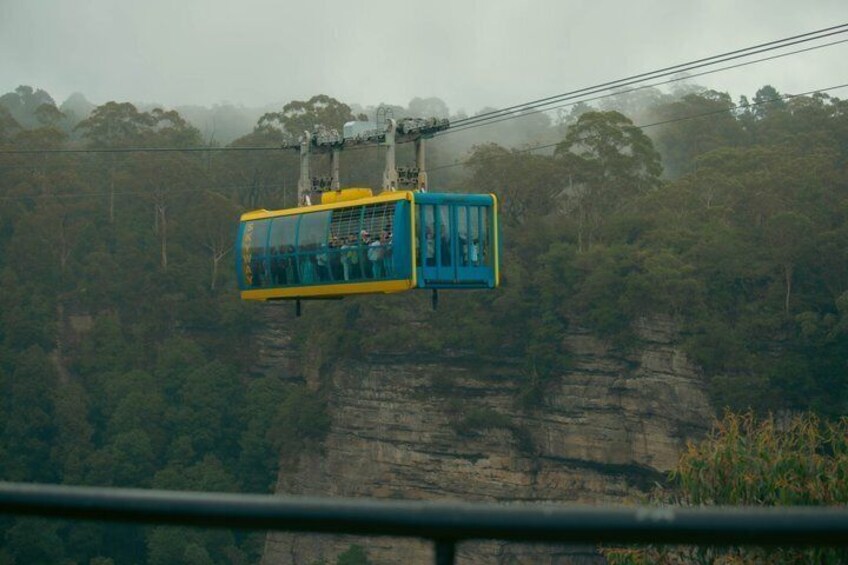 Blue Mountains Private Tour from Sydney: Scenic World & Koalas 2