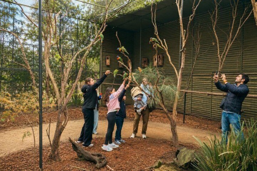 Blue Mountains Private Tour from Sydney: Scenic World & Koalas 2