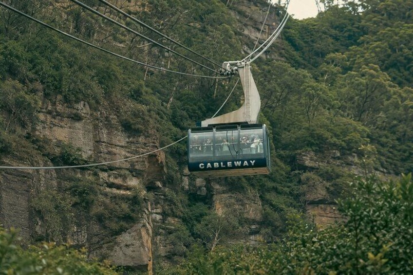 Blue Mountains Private Tour from Sydney: Scenic World & Koalas 4