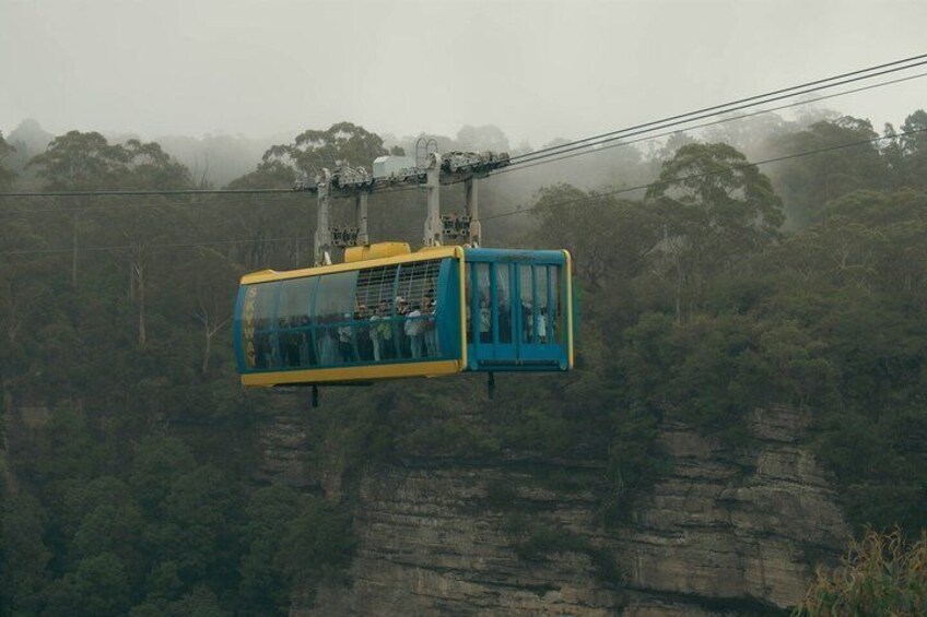 Blue Mountains Private Tour from Sydney: Scenic World & Koalas 5